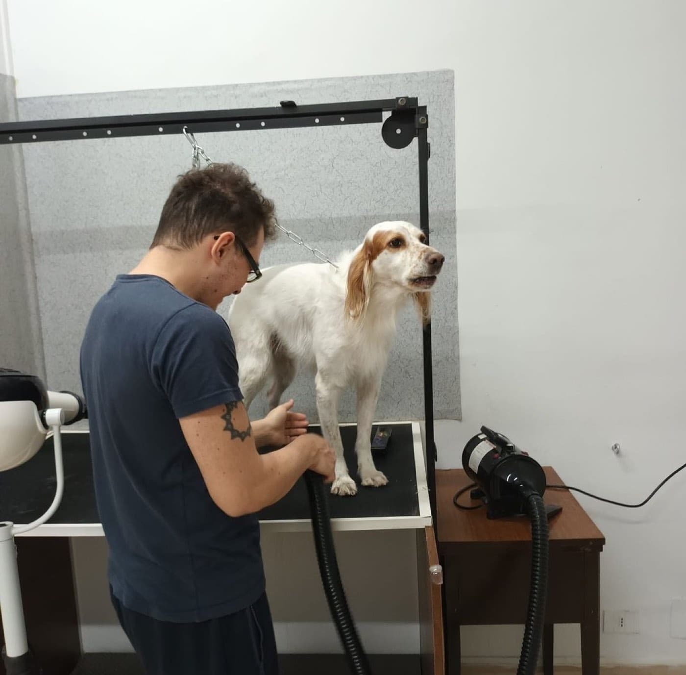 L'oasi dei cuccioli — Toelettatura cani e gatti