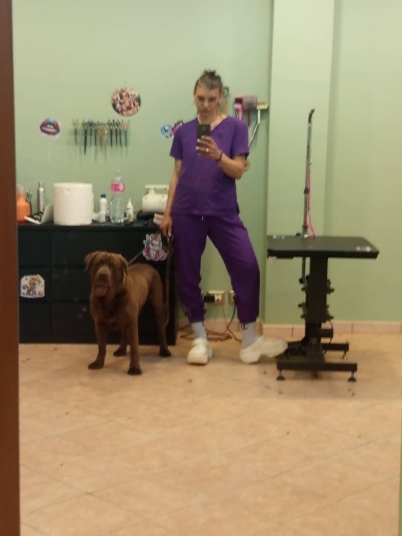 Abracadabra Grooming — Toelettatura cani
