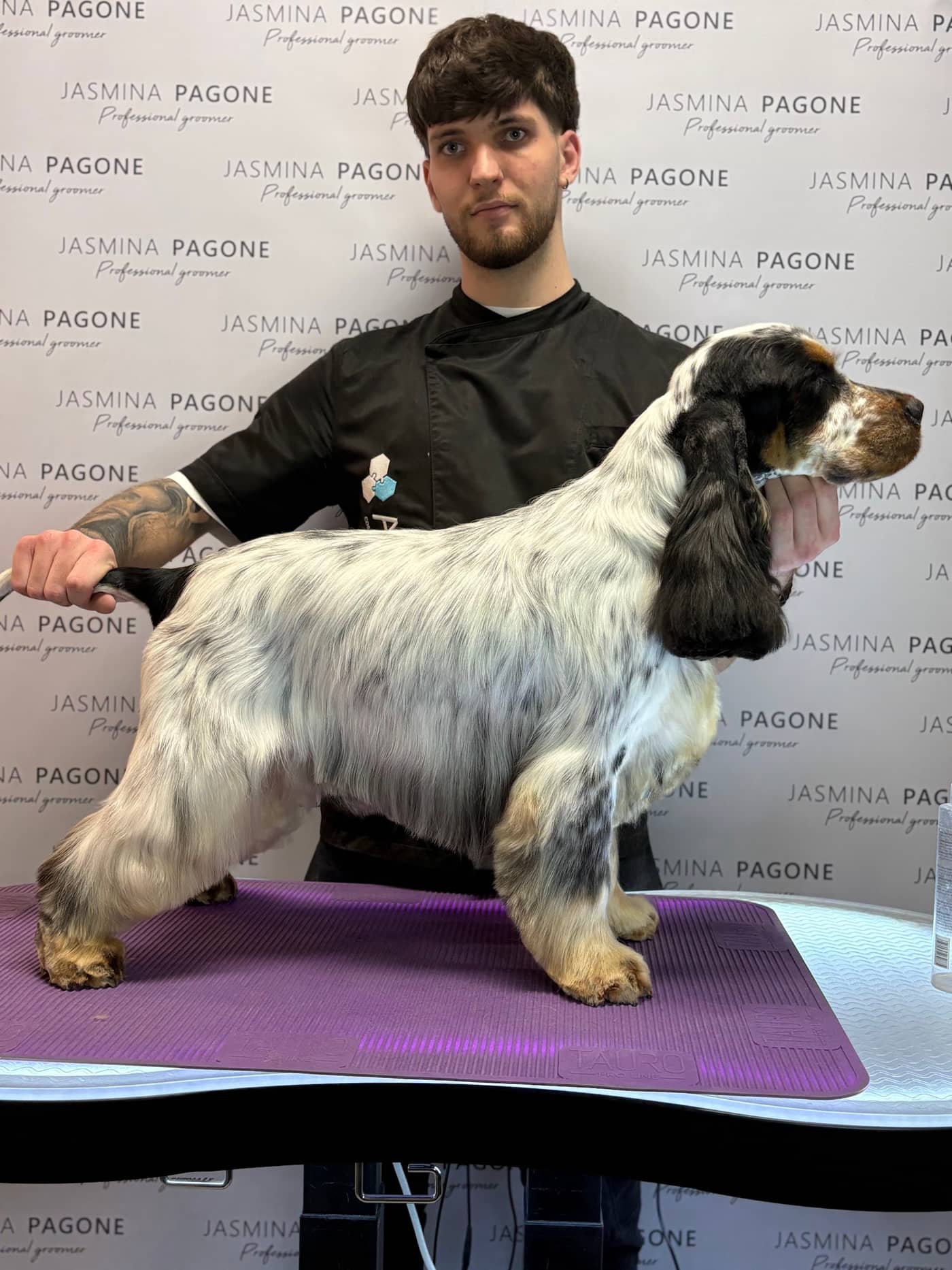 Cosmo Dog Toelettatura — Toelettatura cani
