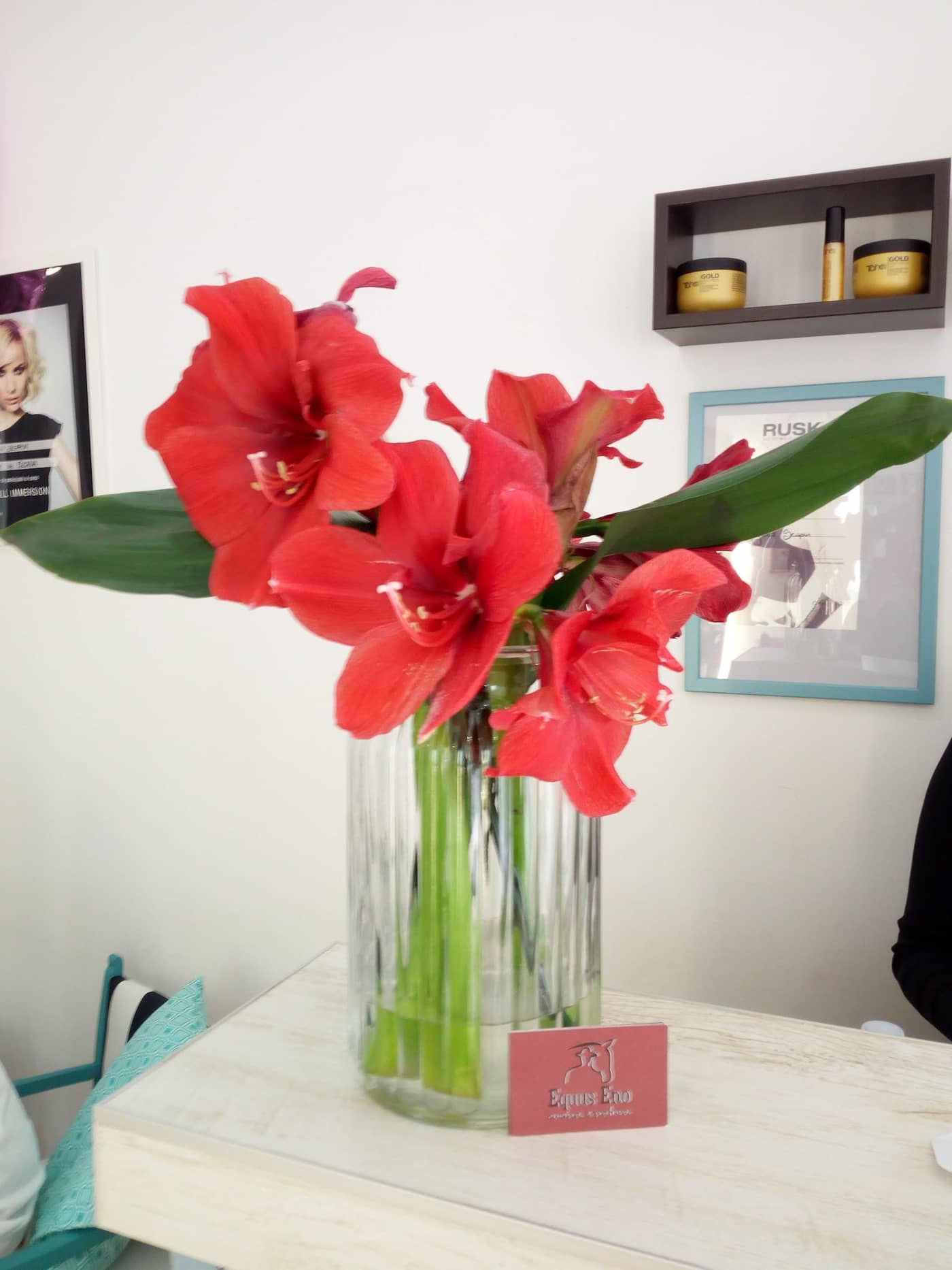Gloria Scapin Hair Stylist, Latina — foto 1 di 4