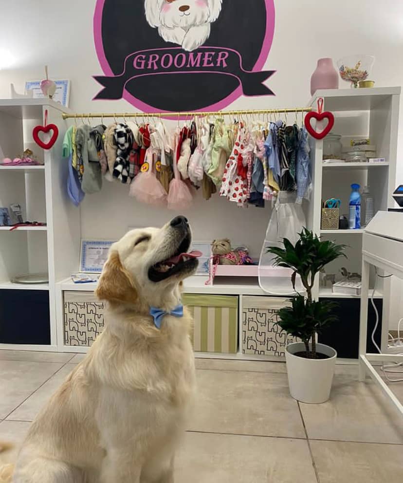 Groomer — Toelettatura e negozio per animali domestici