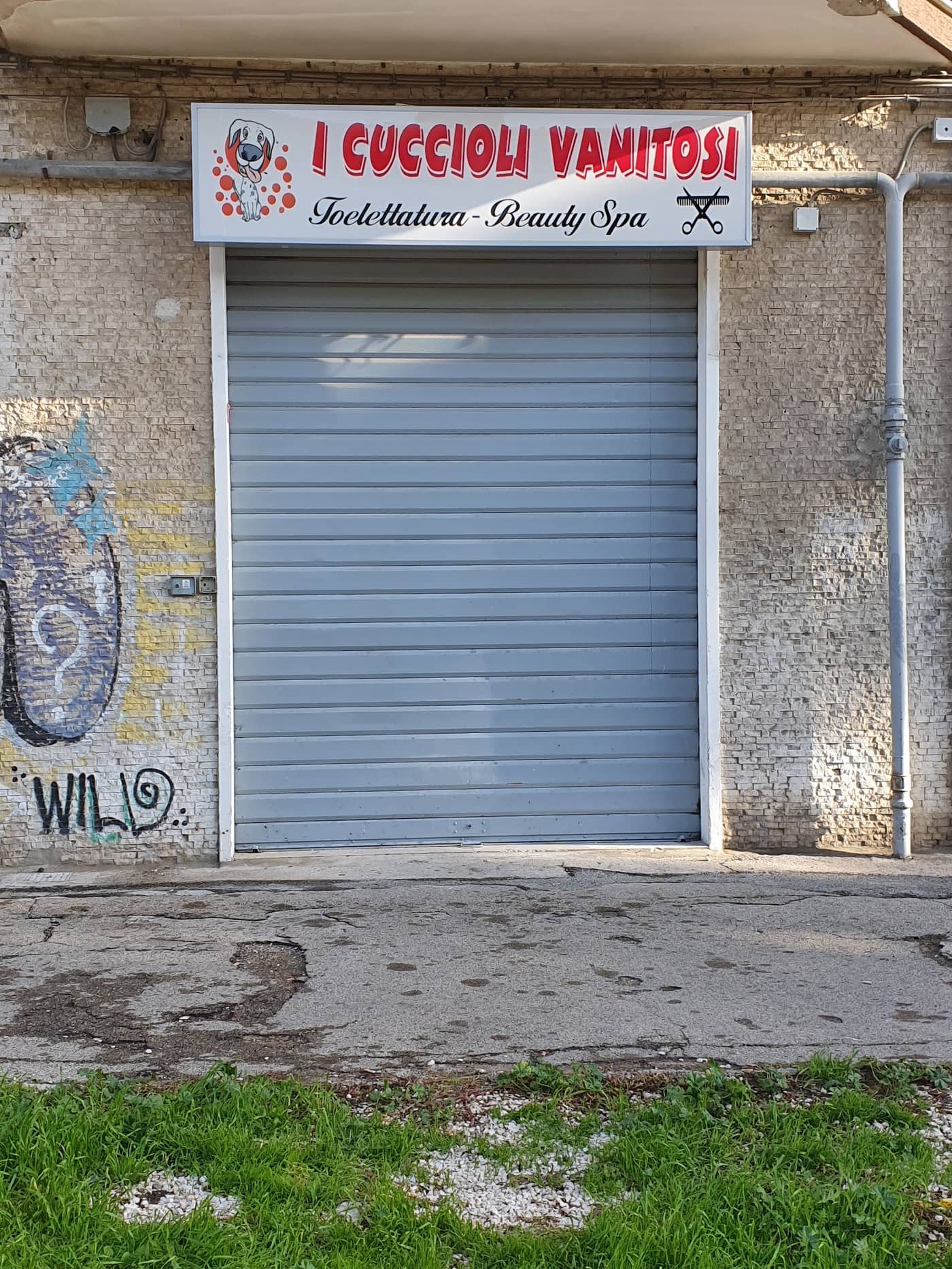 I cuccioli vanitosi toelettatura - beauty Spa — Toelettatura e beauty spa per animali domestici