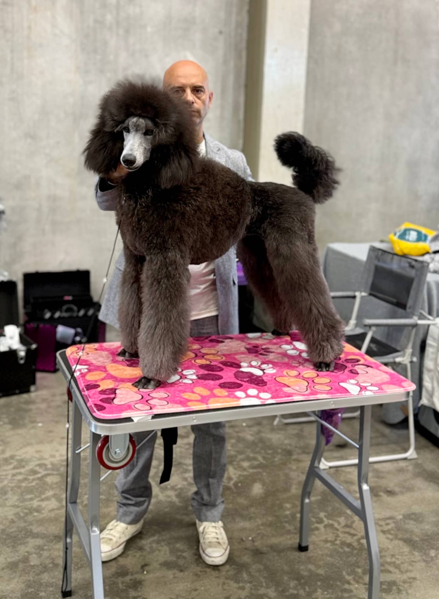 I Nostri Amici Grooming Salon — Toelettatura cani e gatti
