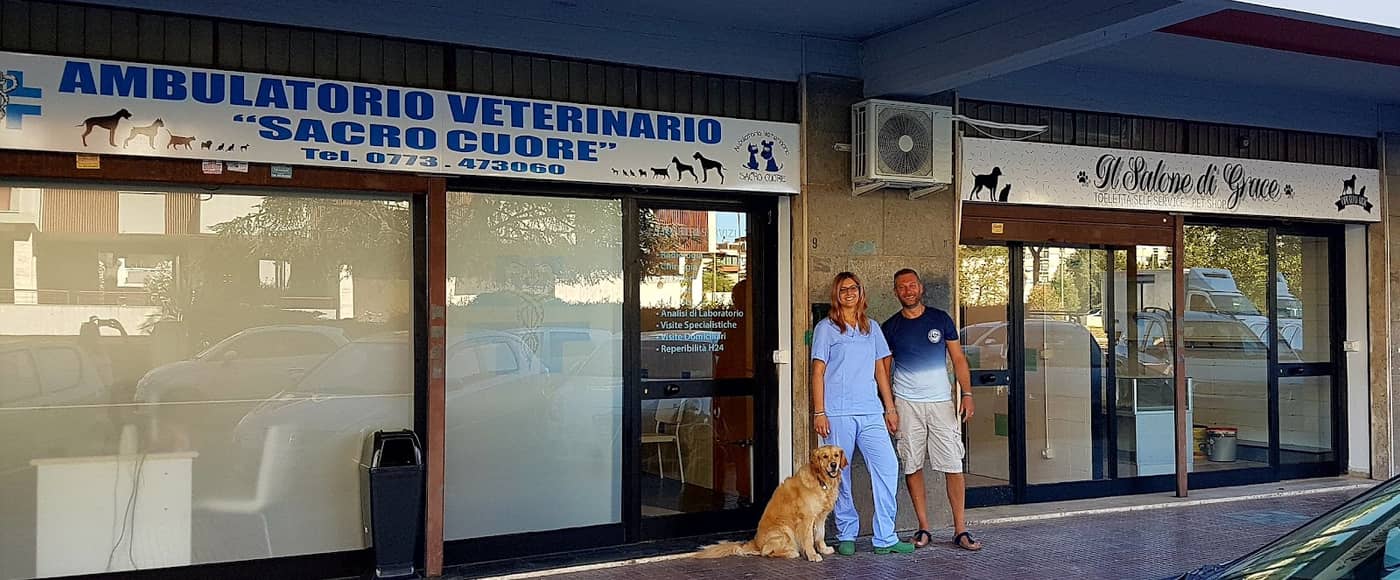 Il Salone Di Grace — Toelettatura e negozio di prodotti per animali domestici