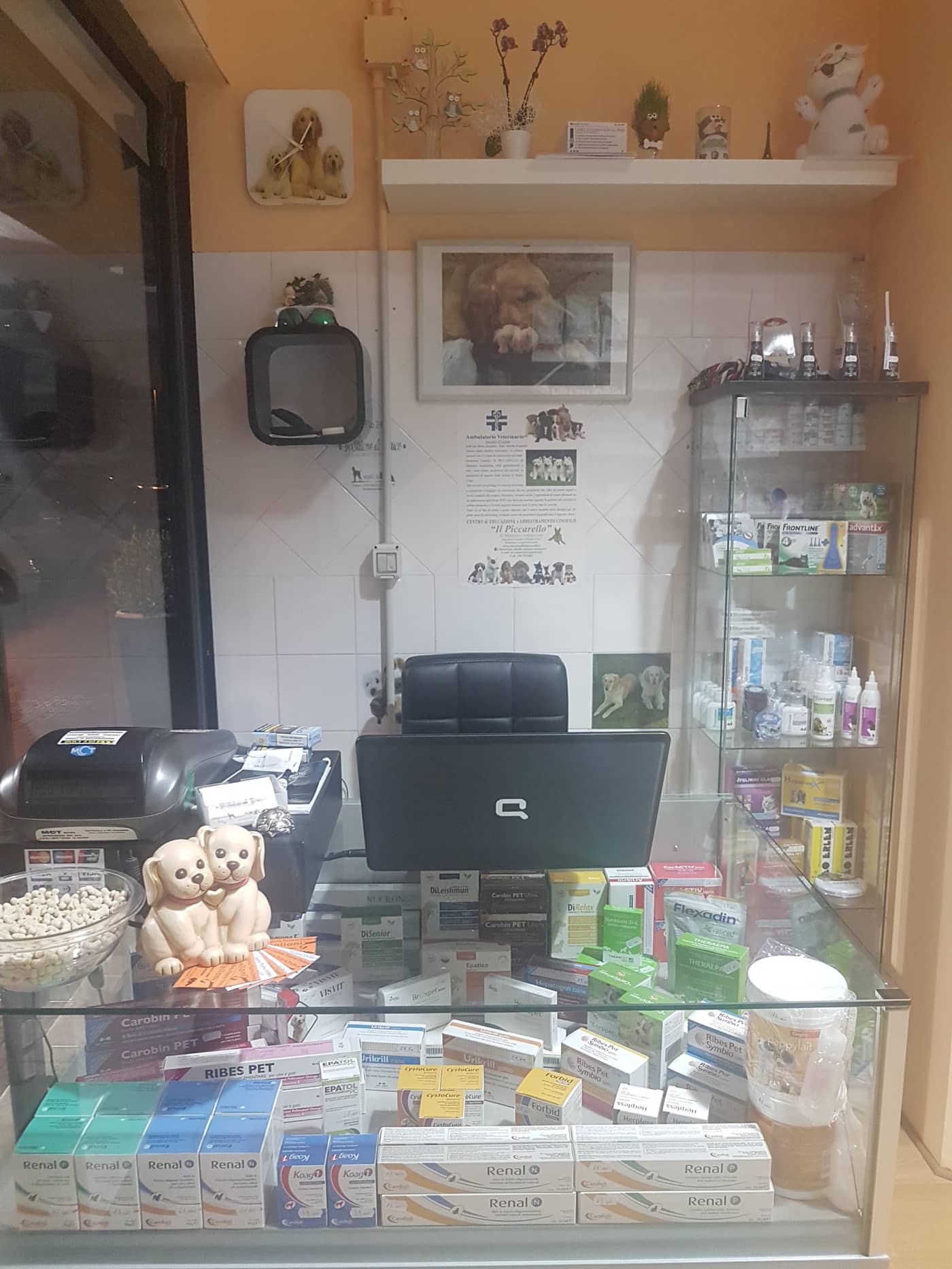 Il Salone Di Grace — Toelettatura e negozio di prodotti per animali domestici