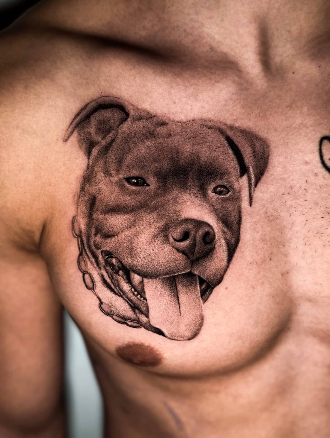 Matattoo Calink, Salerno