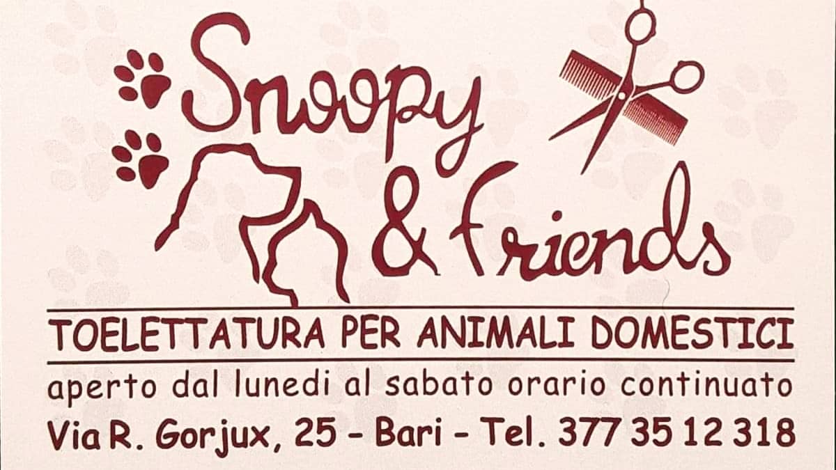 Toelettatura Snoopy & friends — Toelettatura cani e gatti