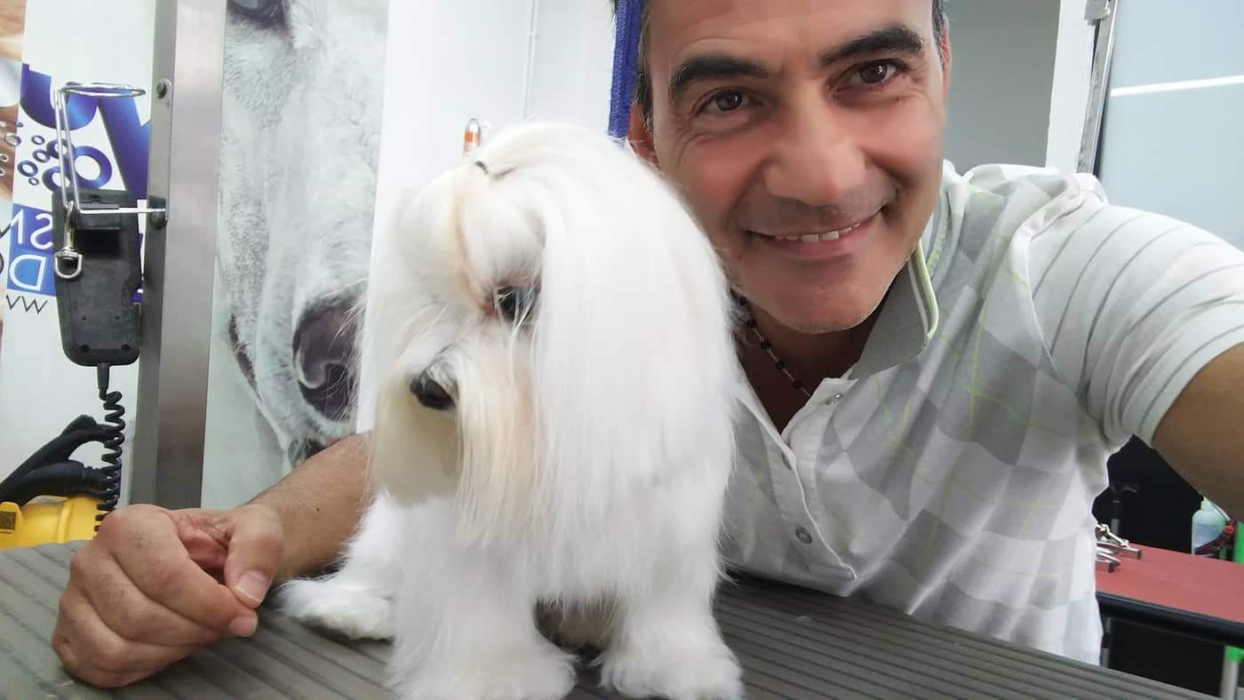 Toelettatura Snoopy & friends — Toelettatura cani e gatti