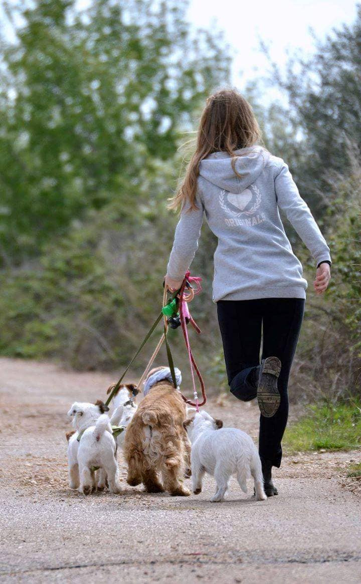 Bau Bau Beauty — Toelettatura e negozio per animali domestici