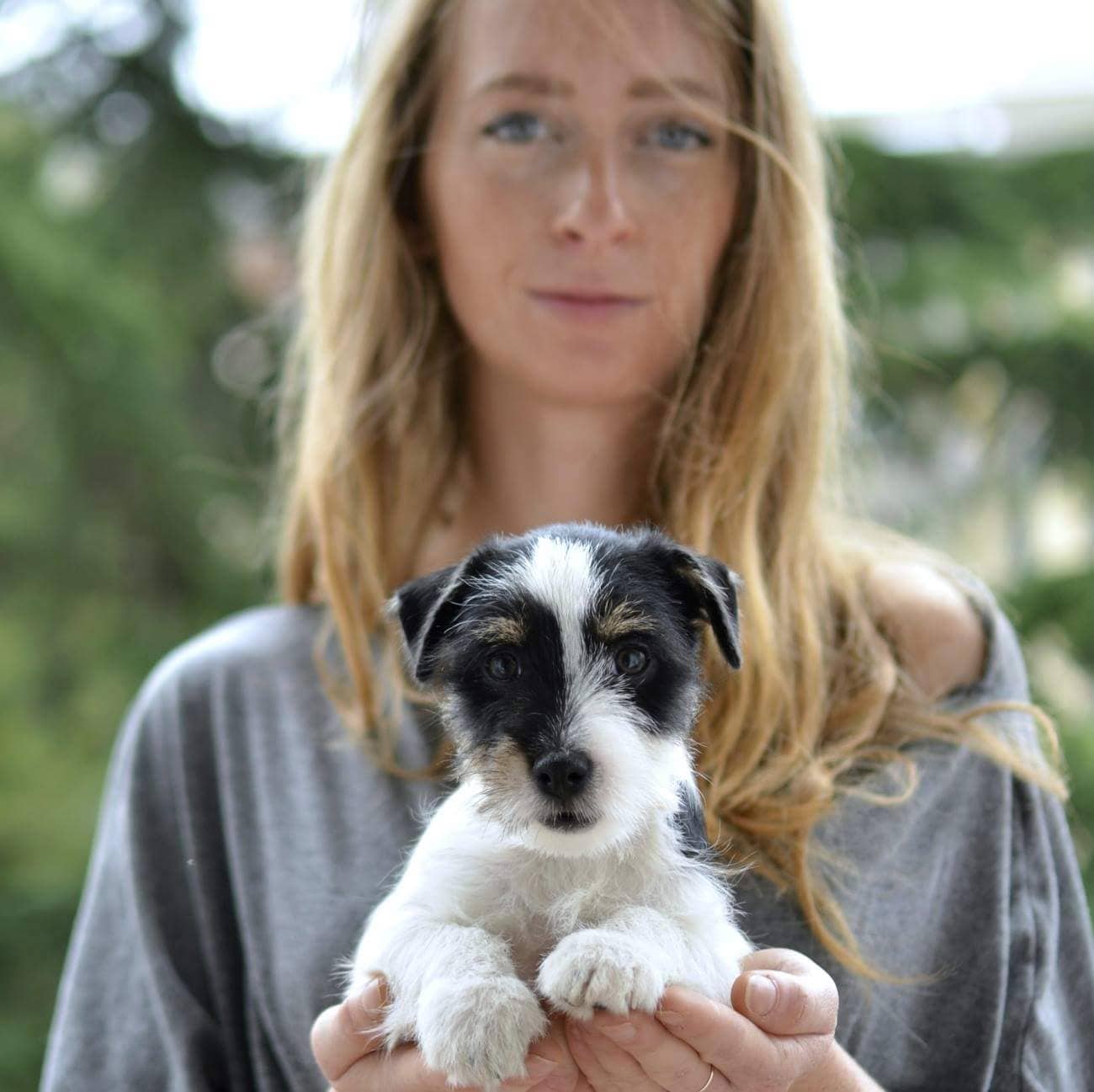 Bau Bau Beauty — Toelettatura e negozio per animali domestici