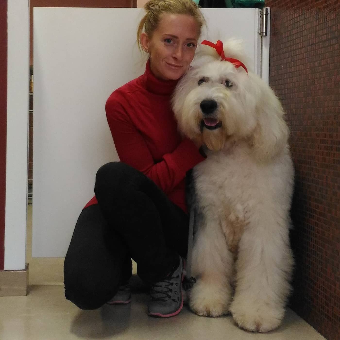 Bau Bau Beauty — Toelettatura e negozio per animali domestici