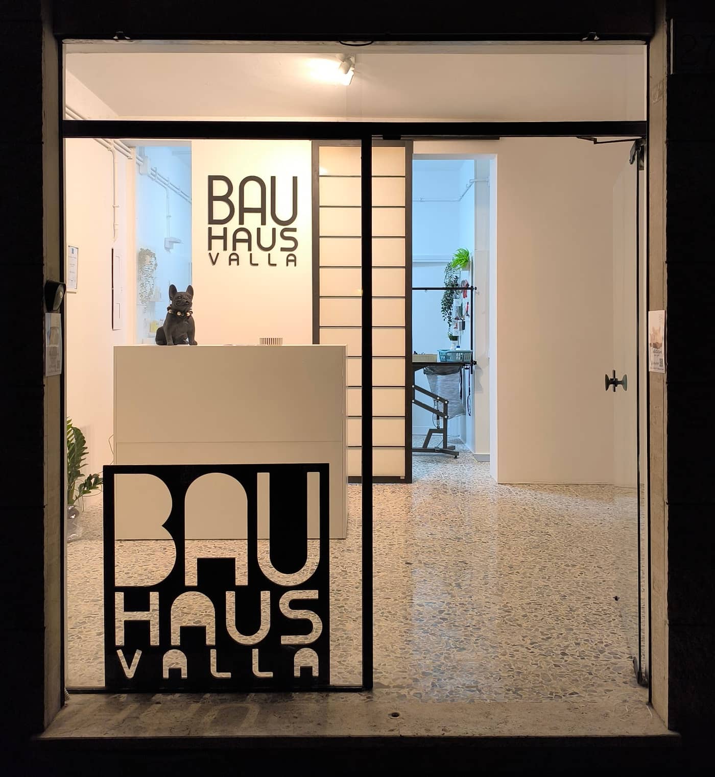 BAUHAUS - Toeletta — Toelettatura cani e gatti