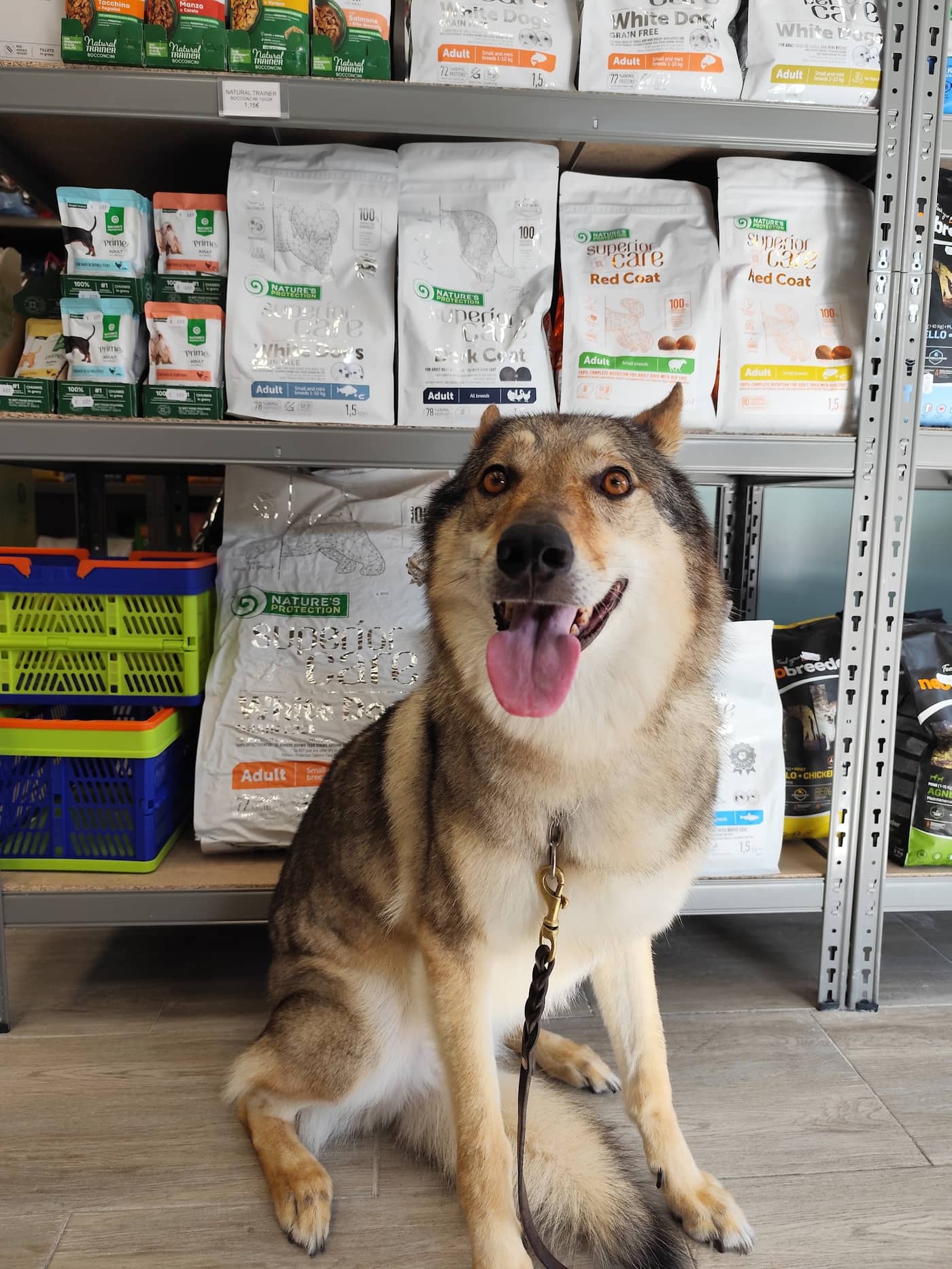 Bauri toelettatura e pet shop — Toelettatura e pet shop