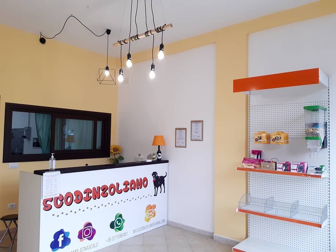 Scodinzoliamo — Toelettatura e negozio di prodotti per animali