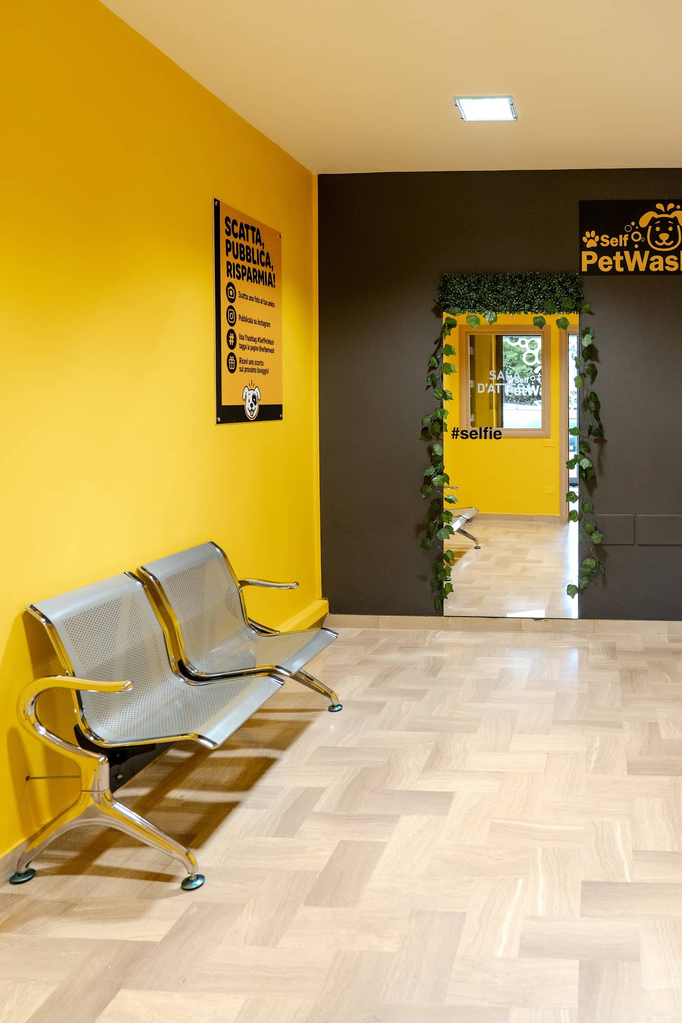 Self Pet Wash — Lavaggio cani self-service