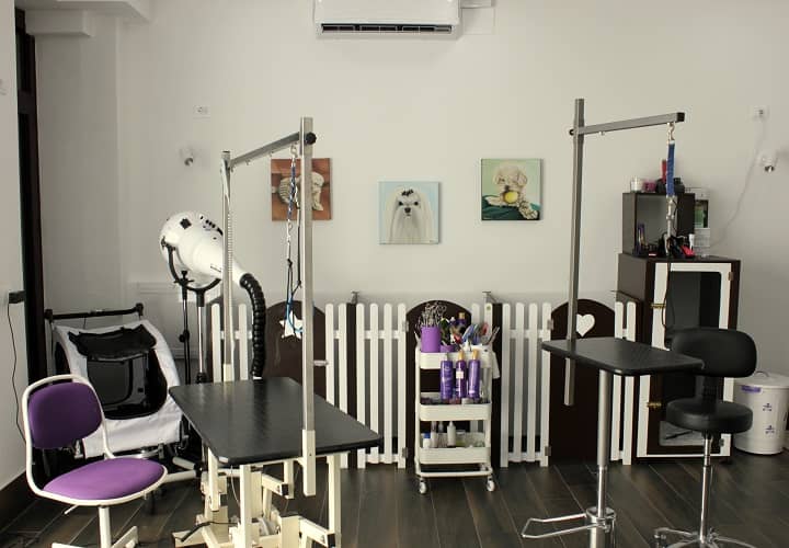 Wonderland Pet Grooming spa — Centro toelettatura per animali domestici
