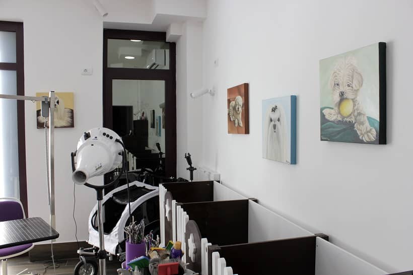 Wonderland Pet Grooming spa — Centro toelettatura per animali domestici
