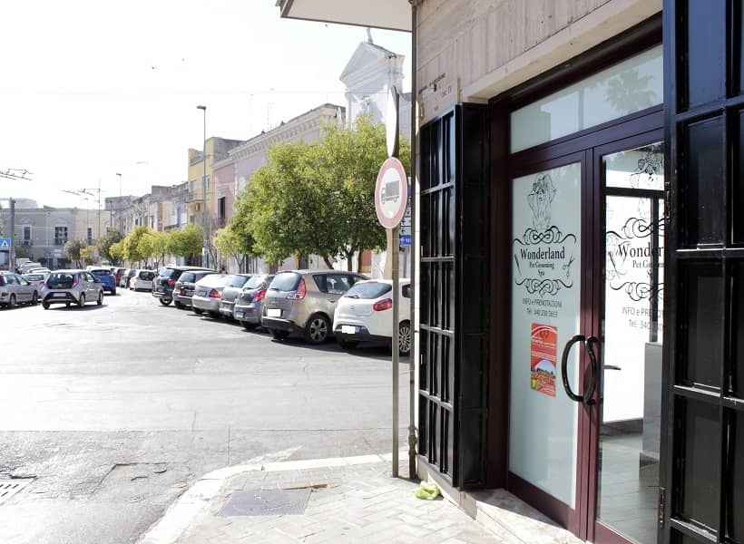 Wonderland Pet Grooming spa — Centro toelettatura per animali domestici