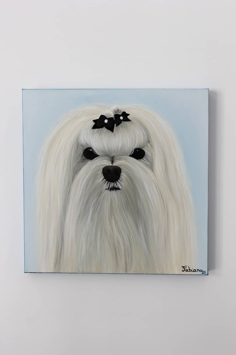 Wonderland Pet Grooming spa — Centro toelettatura per animali domestici